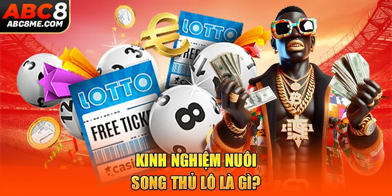 Kinh Nghiệm Nuôi Song Thủ Lô Cho Cao Thủ Cược Là Trúng 2026 Kinh nghiệm nuôi song thủ lô là gì?